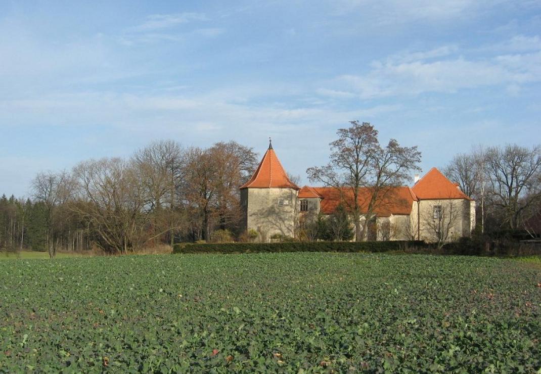 cuknstejn.jpg Thumbnail